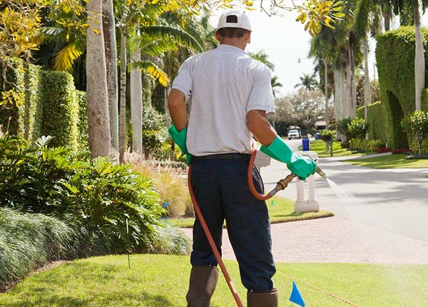 About Great River NY Pest Control Pros